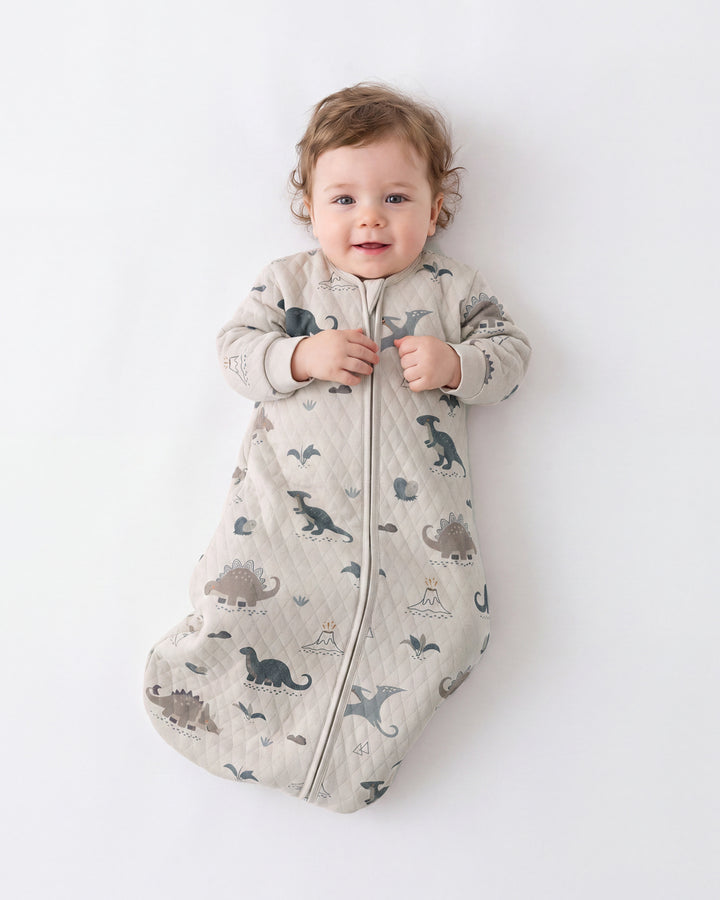 Air-Layer Baby Sleep Sack, 1.0 TOG, Long Sleeve, 1 Pack-Khaki Dinosaur